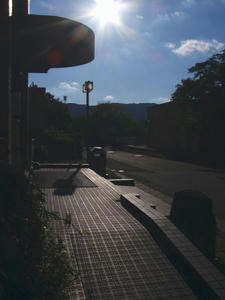 P1050555.jpg