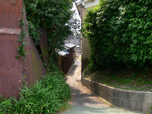 P1010267.JPG