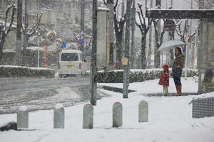 IMGP0774.jpg