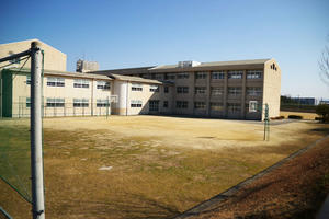 IMGP1040.jpg