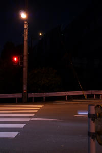 IMGP1142.jpg
