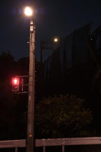 IMGP1145.jpg