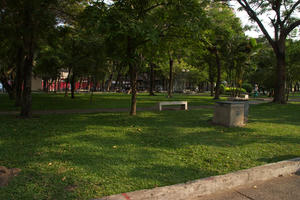 IMGP1559.jpg