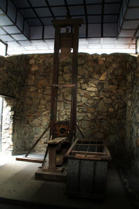IMGP1626.jpg