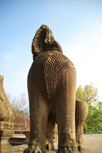 IMGP1910.jpg