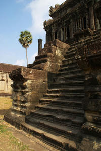 IMGP2001.jpg
