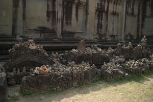 IMGP2084.jpg