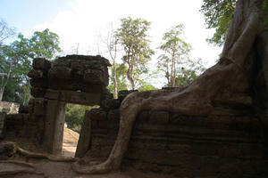 IMGP2272.jpg