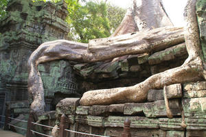 IMGP2299.jpg
