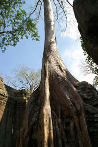 IMGP2311.jpg