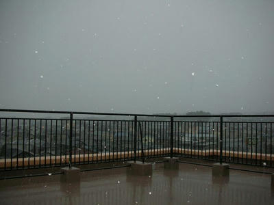 DSCN1132.JPG