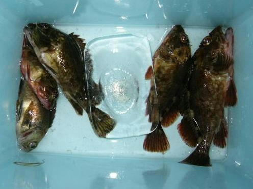 20080507.JPG