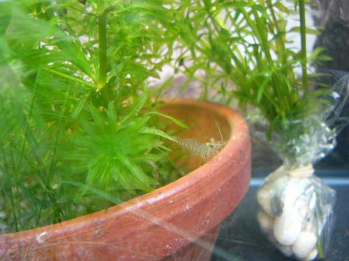 090728.JPG