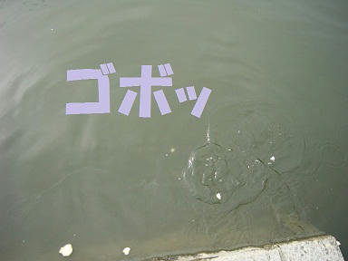 20101113-1.jpg