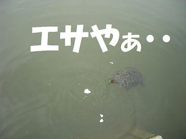20101113-2.jpg