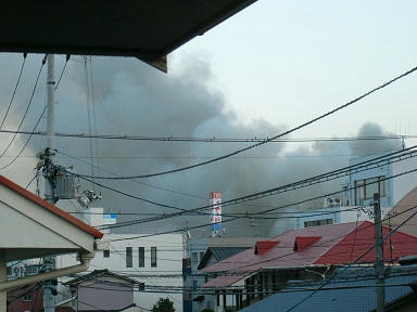20101127.jpg