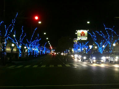 20101203-1.jpg