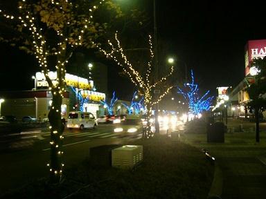 20101203-2.jpg
