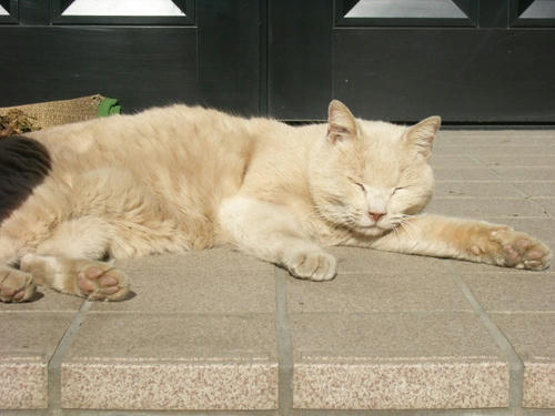 P1050220.jpg