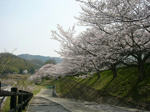 maeyama.jpg