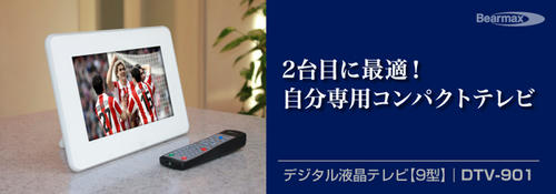 DTV901.jpg