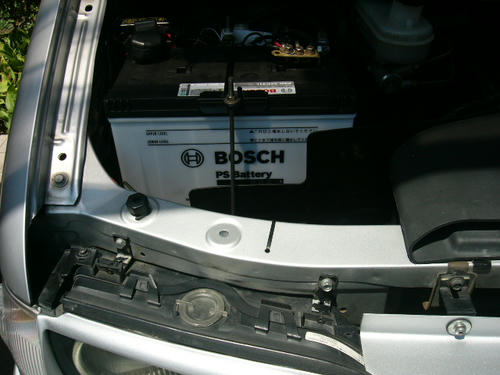 friendee_battery.JPG