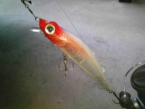 20111211-2.jpg
