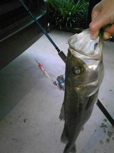 20111211-3.jpg
