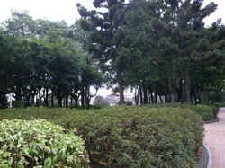 R0014031.JPG