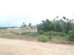 R0011548.JPG