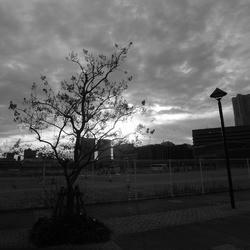 R0014213.JPG