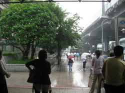 bb558b09.jpg