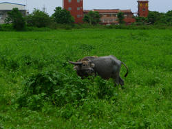 45d979f8.jpg