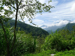 f45344e8.jpg