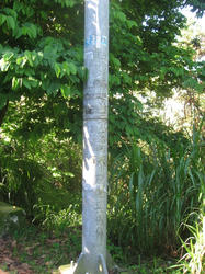 5cf6027e.jpg