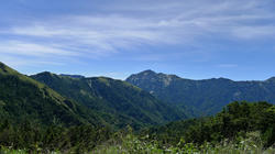 d224c597.jpg