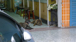 2011_06_16010.jpg