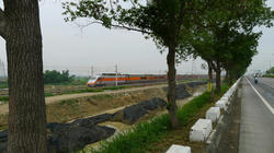 96448685.jpg