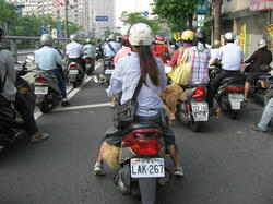 674455de.jpg
