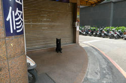 2011_07_07_2002.jpg