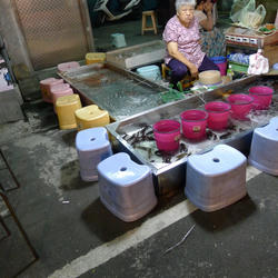 2011_07_08036.jpg