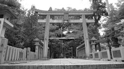 2011_08_12064.jpg