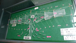 6359b688.jpg
