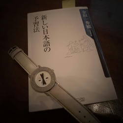 P1090808ct.jpg