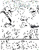 DonLeoBattle1