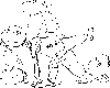 小亀