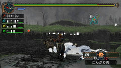 20080409055312.jpg