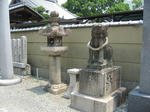 20110606_kukuchi6.JPG