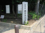 20110609_ina_3.JPG