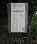 20110609_ina_4.JPG